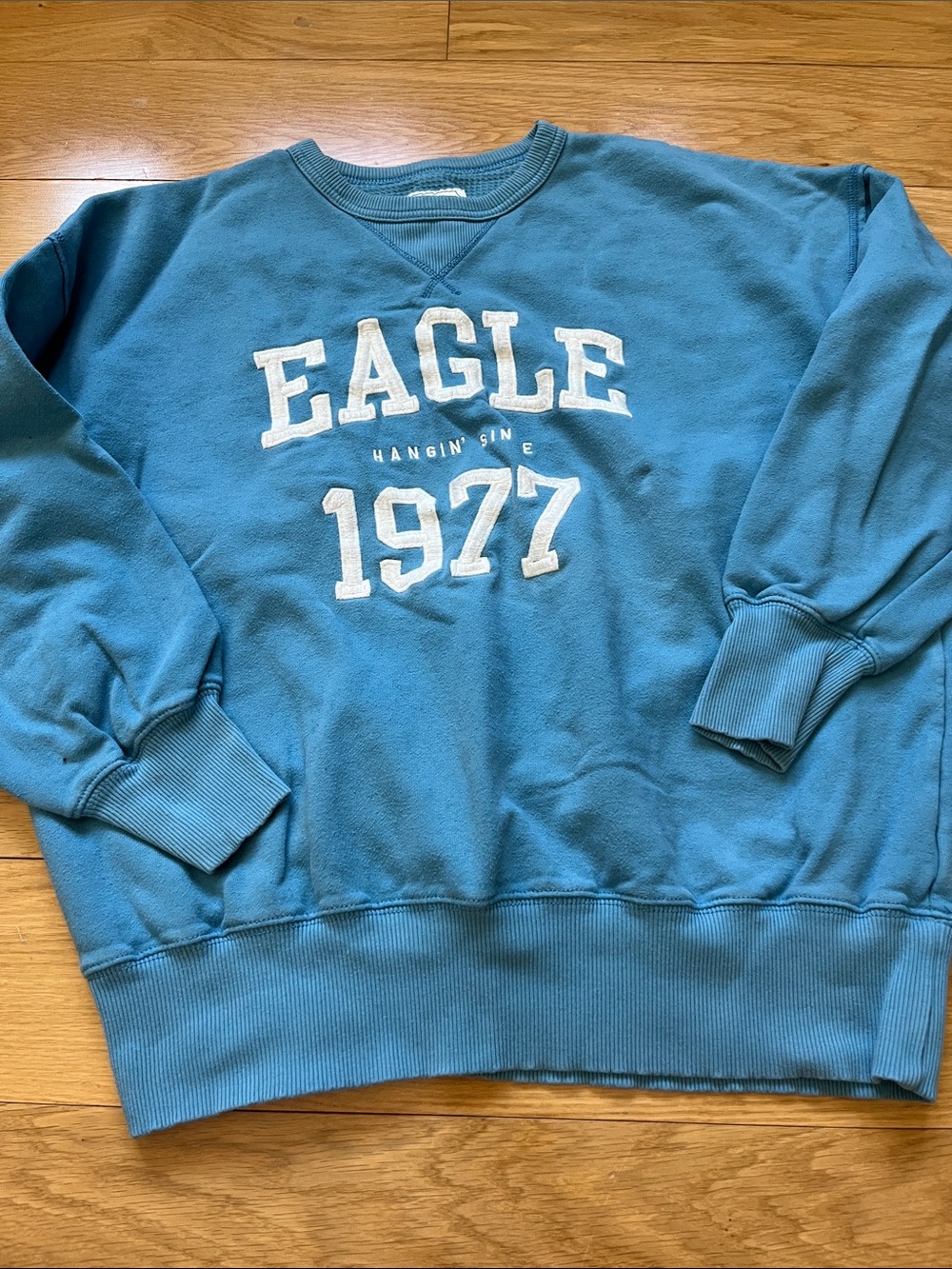 American Eagle Blue Sweatshirt
